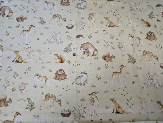 Woodland Friends Embroidered Minky Blanket