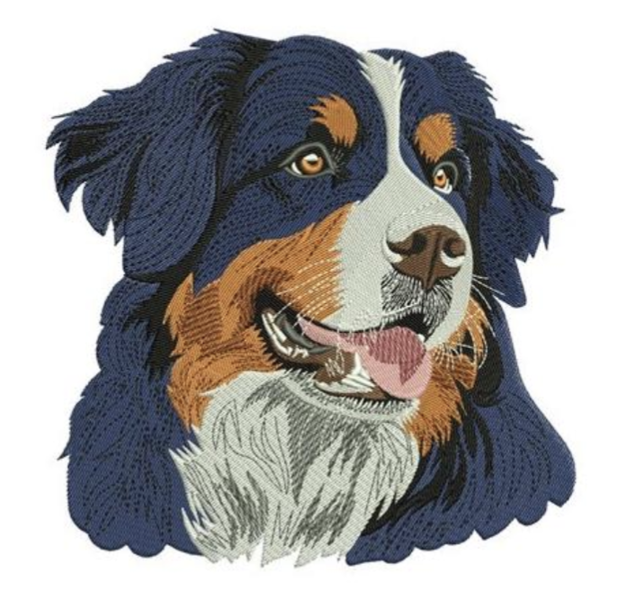 Bernese Mountain Dog Hoodie