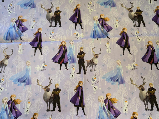 Frozen Embroidered Minky Blanket